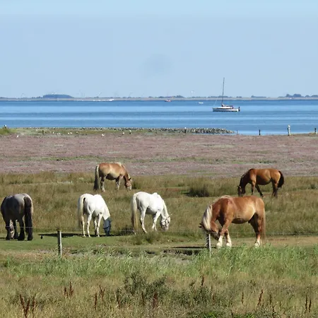 Haus Billstrasse 9 248 - 8 דירה